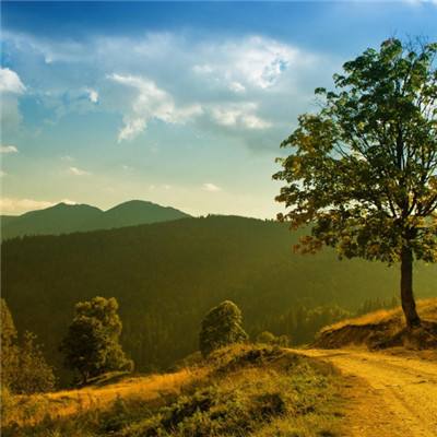 亚新综合平台截图