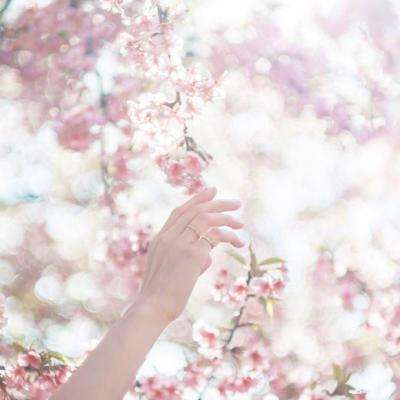 熊猫娱乐app手机app下载